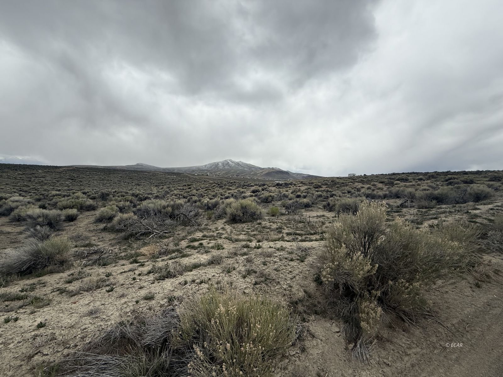 Harrison Avenue Elko, NV 89801 - Photo 4 of 4