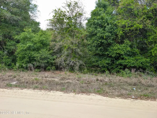a view of a yard with a tree