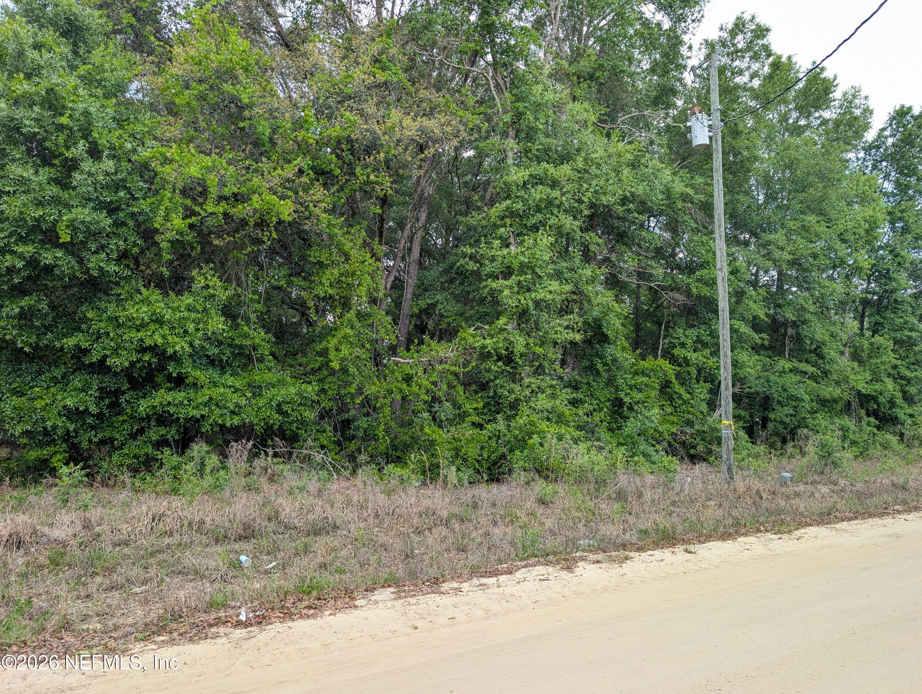 60 Maltas Avenue Interlachen, FL 32148 - Photo 2 of 3 a view of a yard with a tree
