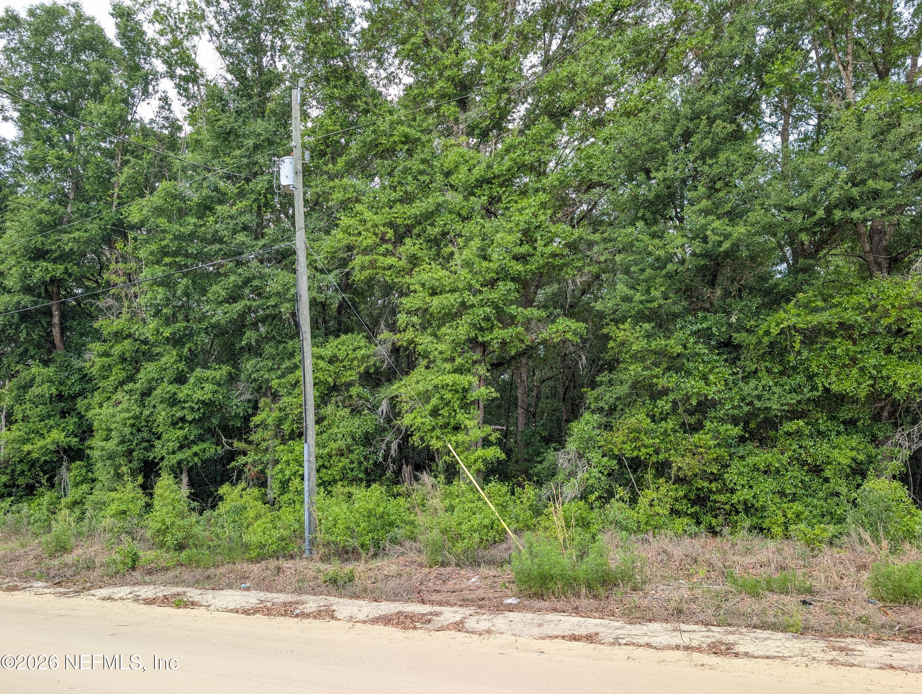 60 Maltas Avenue Interlachen, FL 32148 - Photo 3 of 3 a view of a yard