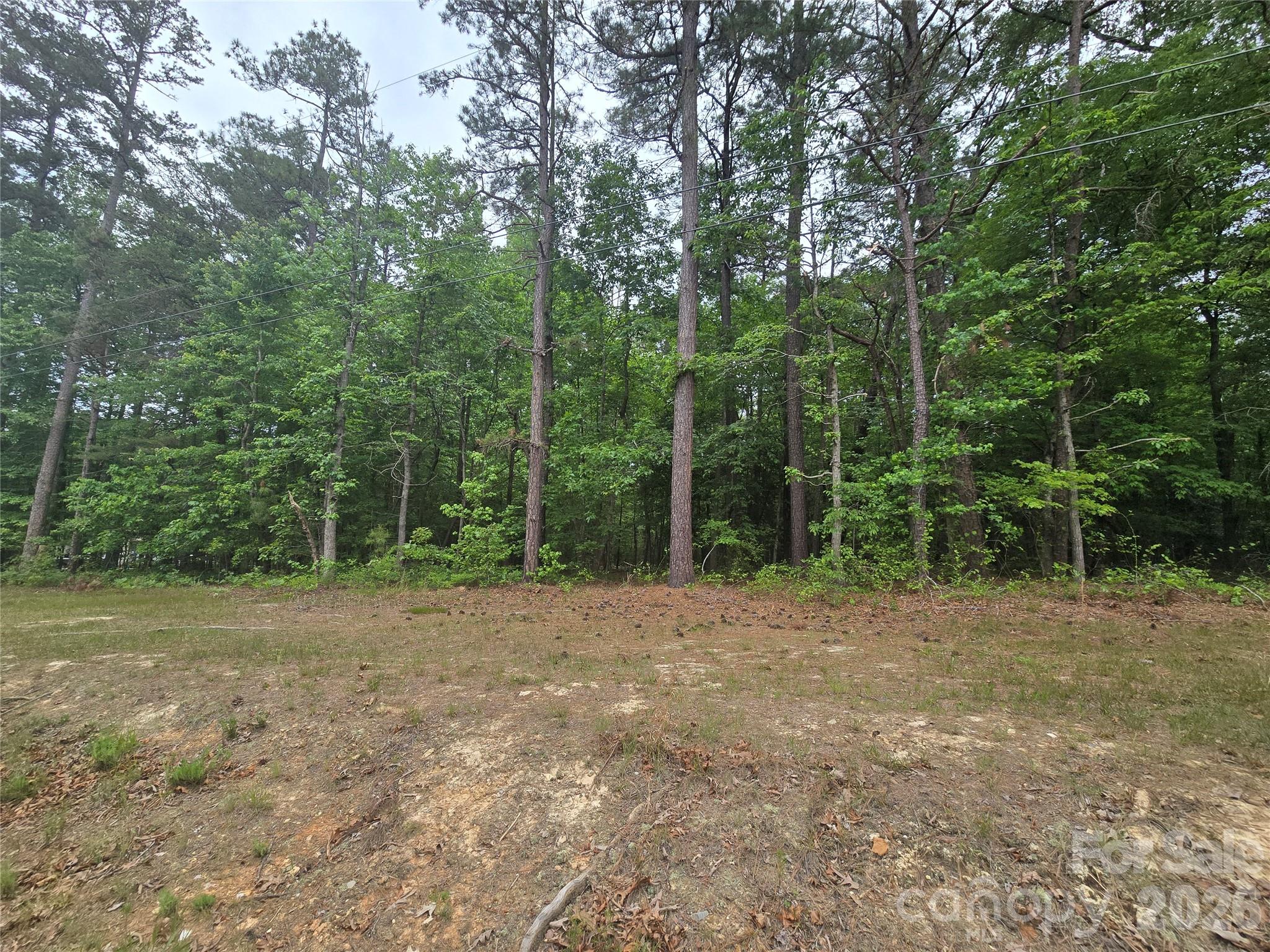 Tbd Troy Candor Road Troy, NC 27371 - Photo 2 of 2