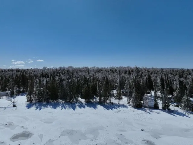 $339,000 | 4525 Straits View Drive, Carp Lake, MI 49718