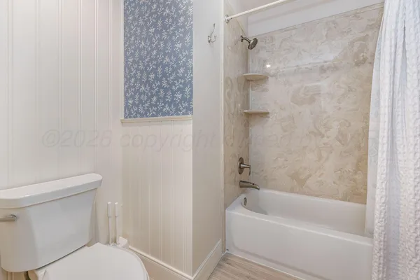 a bathroom with a toilet and a bathtub