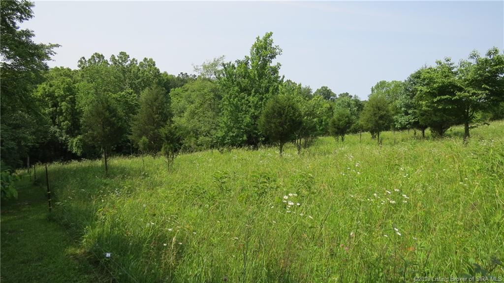 3261 Hamby Road Georgetown, IN 47122 - Photo 41 of 47
