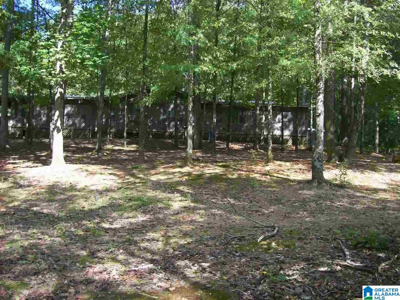 7378 State Lake Road Delta, AL 36258 - Photo 1 of 38