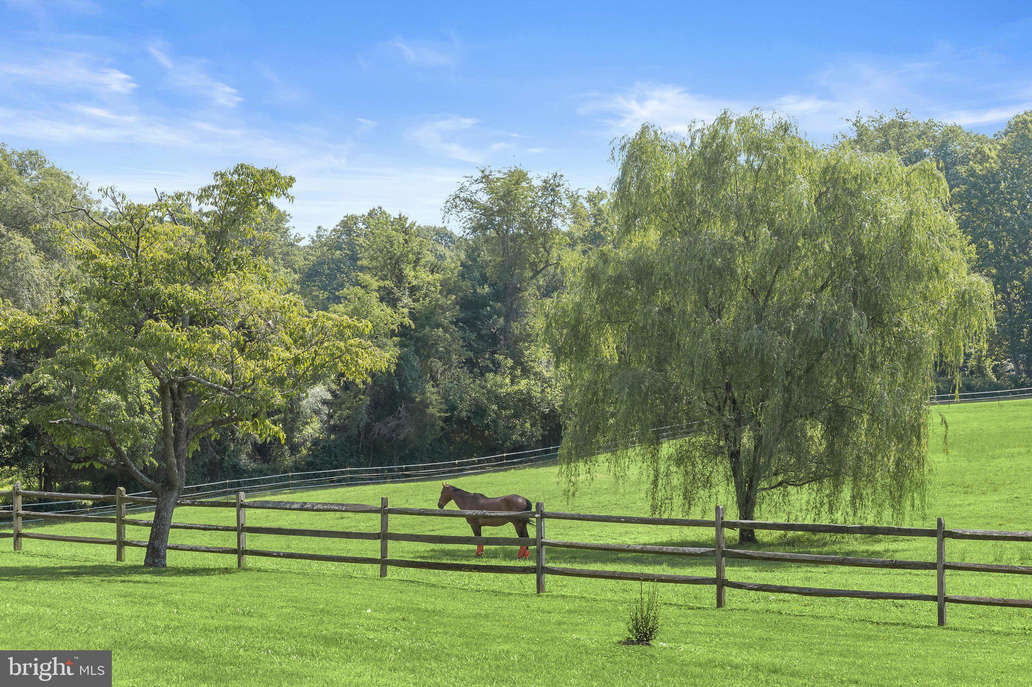 16510 Batchellors Forest Road Olney, MD 20832 - Photo 79 of 107 Pasture