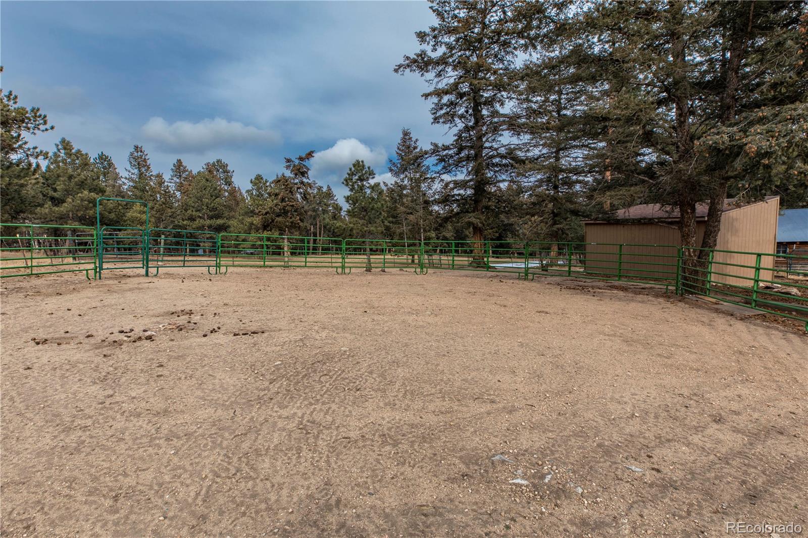 8830 South Blue Creek Road Evergreen, CO 80439 - Photo 12 of 39 a view of outdoor space with trees