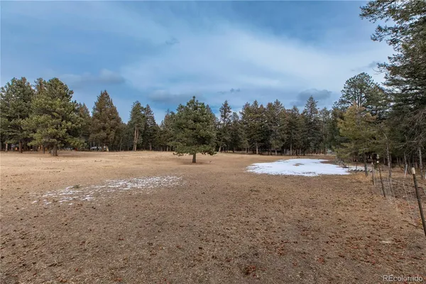 a view of a yard in front of house