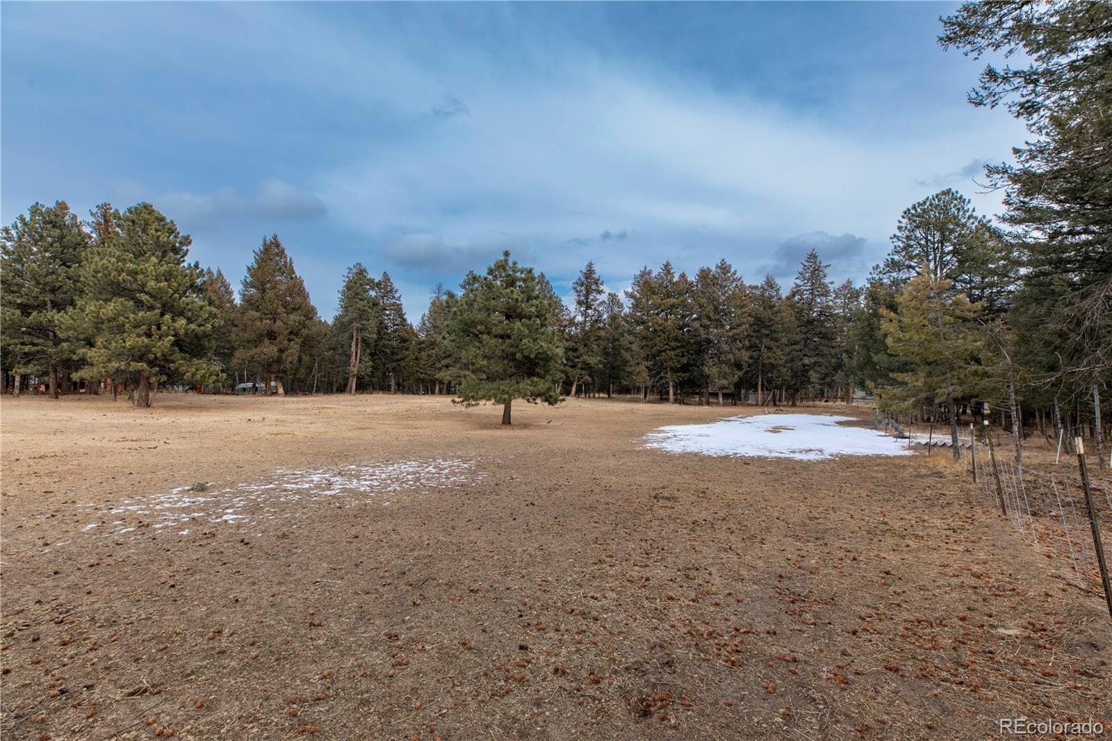 8830 South Blue Creek Road Evergreen, CO 80439 - Photo 13 of 39 a view of outdoor space with trees all around