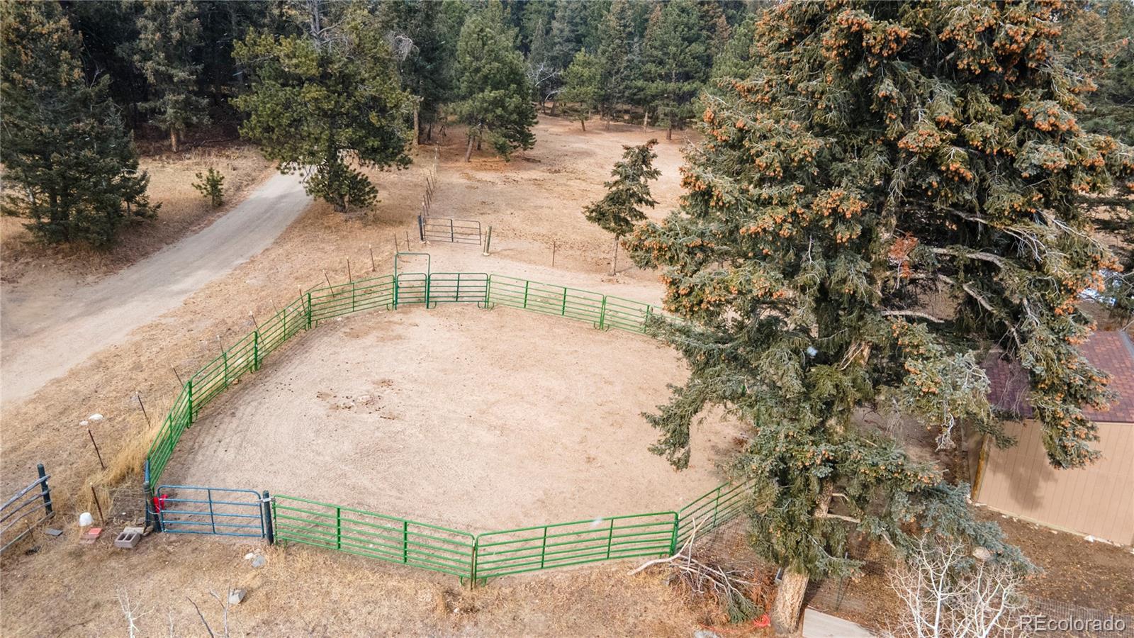 8830 South Blue Creek Road Evergreen, CO 80439 - Photo 14 of 39 a view of a yard in front of house