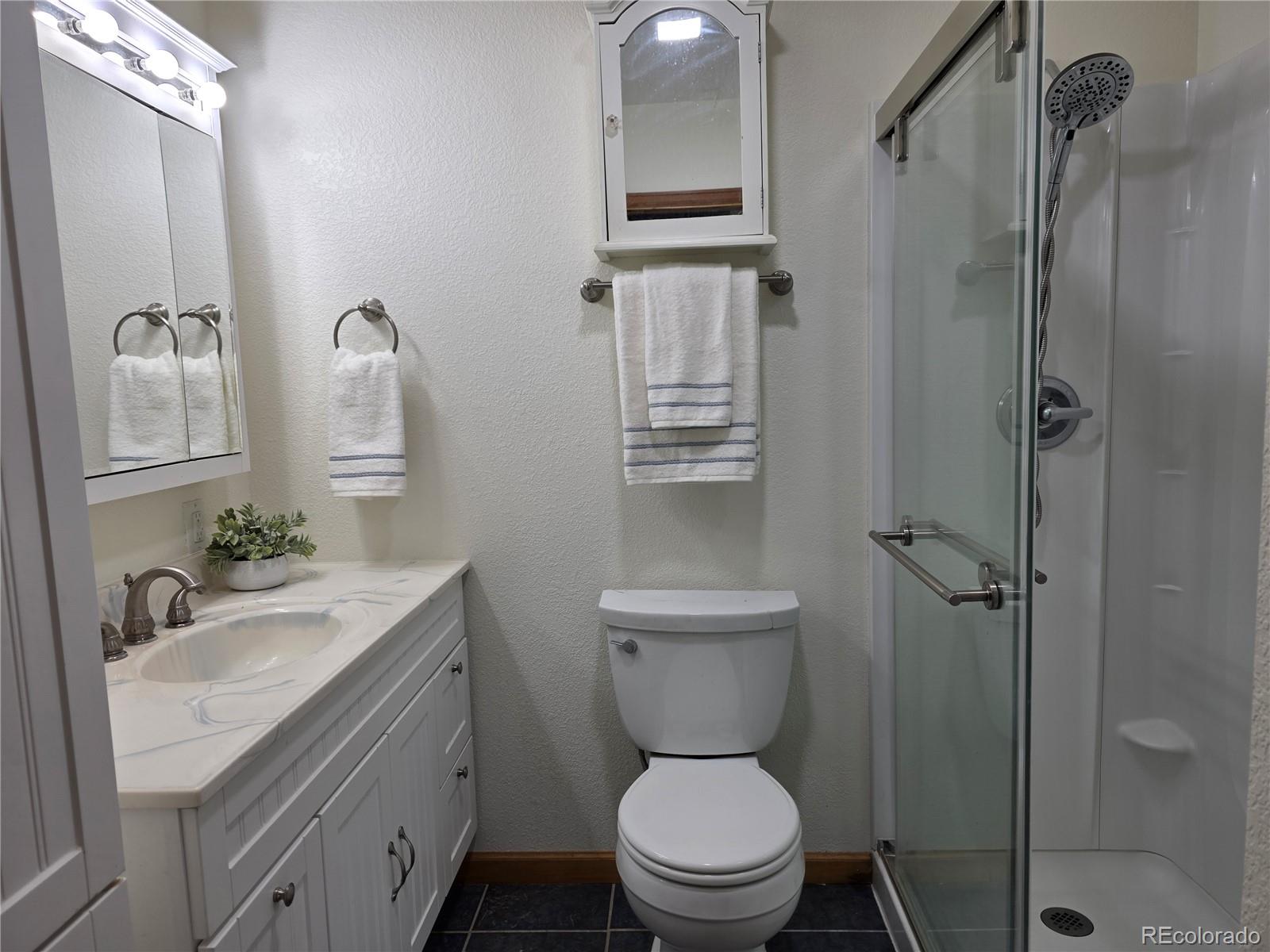 8830 South Blue Creek Road Evergreen, CO 80439 - Photo 27 of 39 a bathroom with a sink a toilet and shower