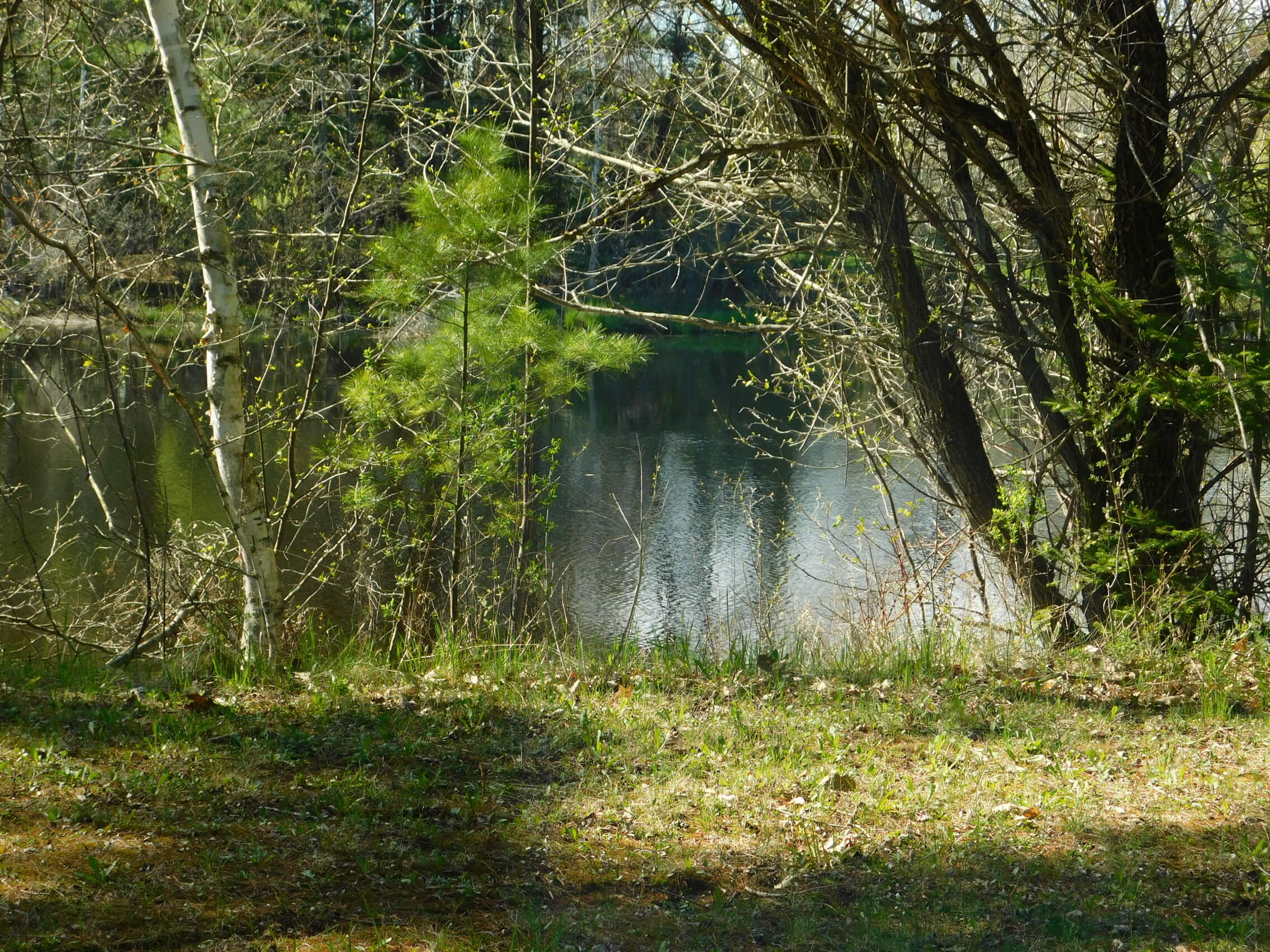 E5254 East Circle J Road Dupont, WI 54950 - Photo 1 of 1 DSCN1799