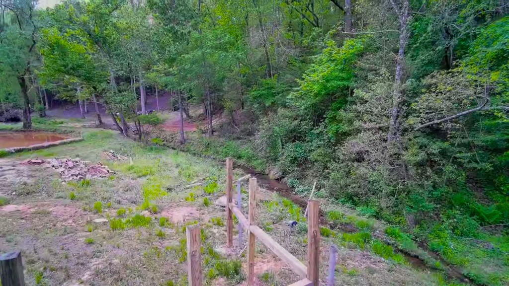 3325 Pack Mountain Road Murphy, NC 28906 - Photo 57 of 69