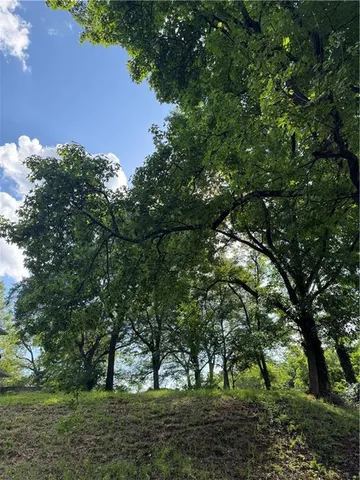 a view of a tree with a yard