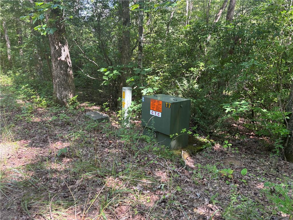 1038 Wilkins Cove Road Suches, GA 30572 - Photo 59 of 89
