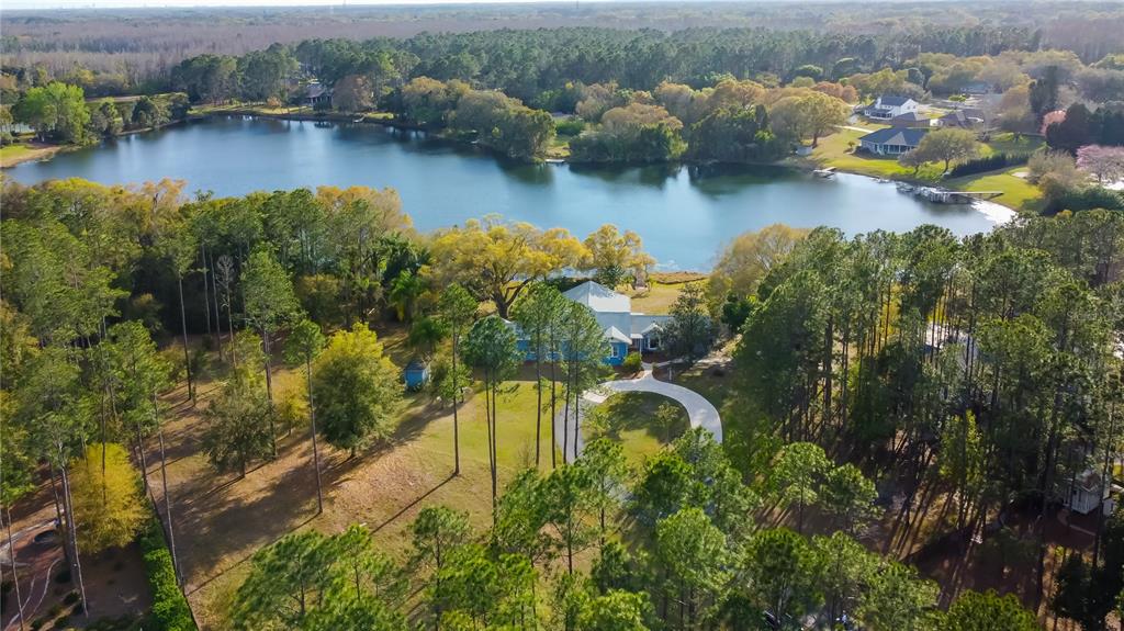 Newberger Lutz, FL 33549 - Photo 1 of 6 an aerial view of residential houses with outdoor space and lake view