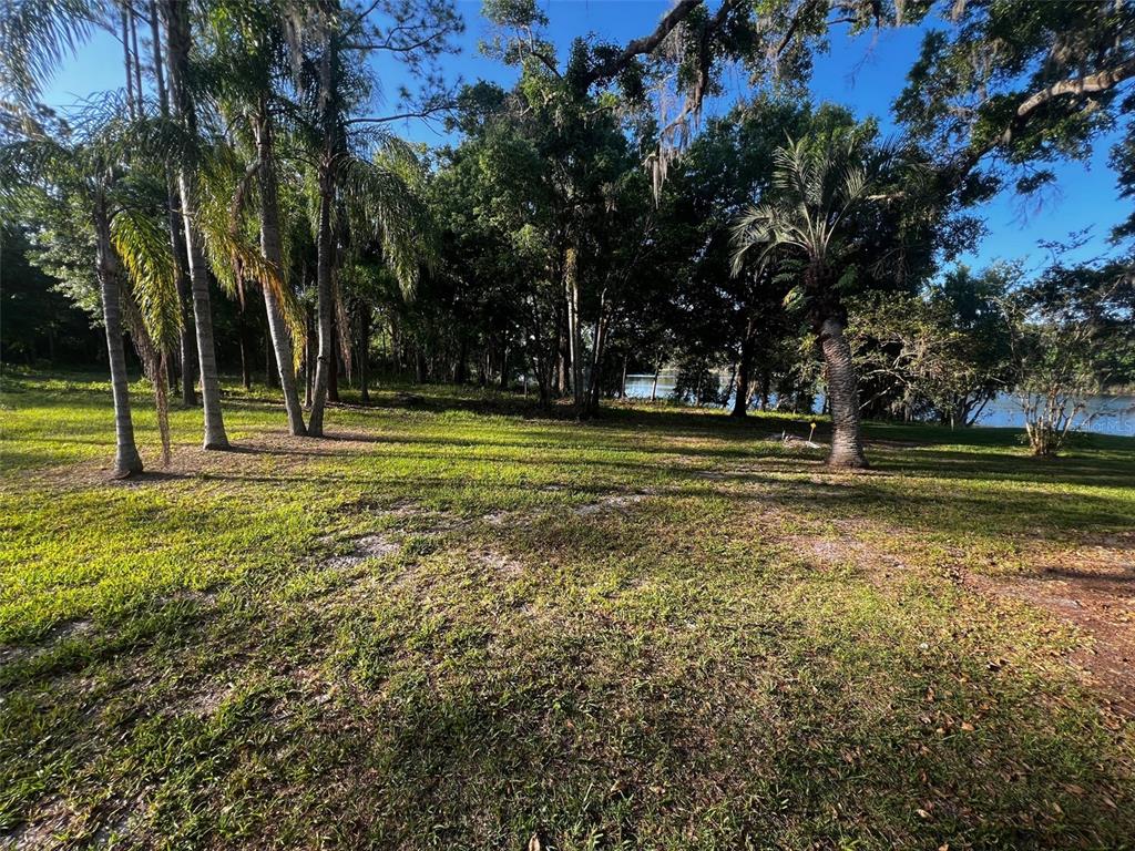 Newberger Lutz, FL 33549 - Photo 3 of 6 a view of a park with large trees
