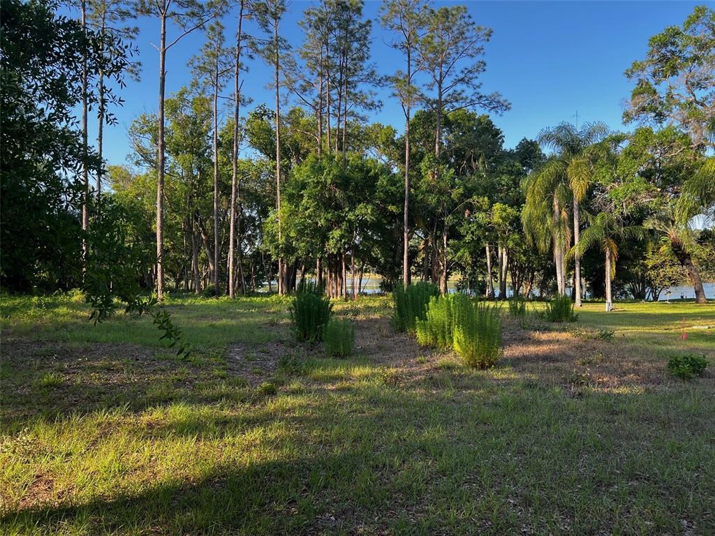 Newberger Lutz, FL 33549 - Photo 4 of 6 a view of a park