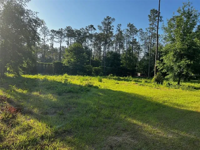 a view of swimming pool from a yard