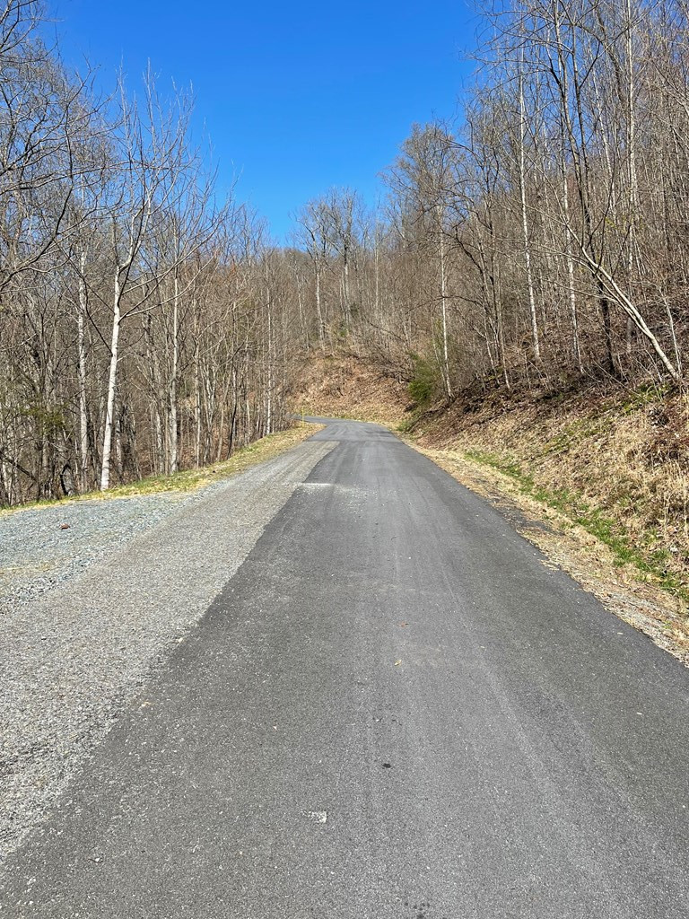 22-m 26m Ridges Hayesville, NC 28904 - Photo 4 of 6