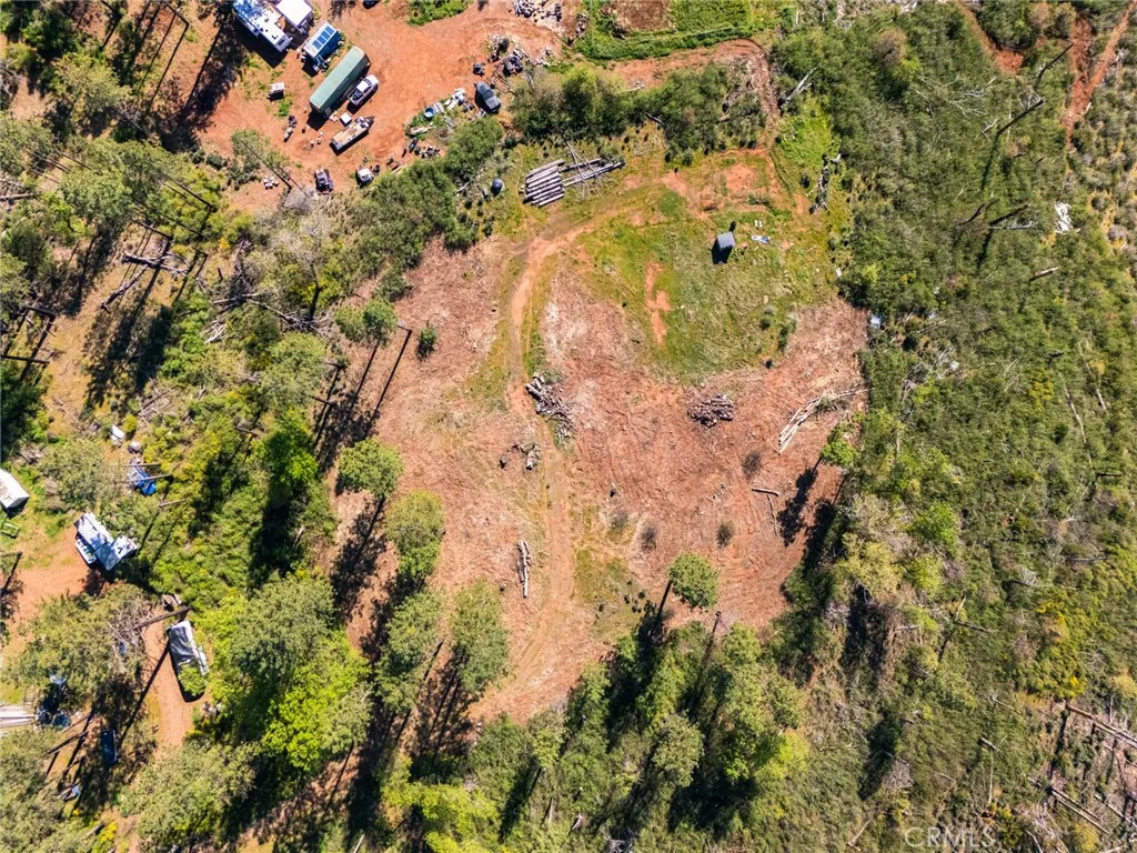 2922 Lost Ridge Oroville, CA 95965 - Photo 20 of 21 a view of a tree