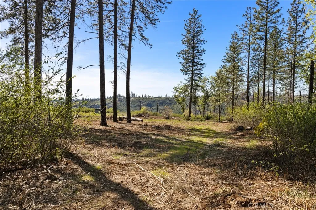 2922 Lost Ridge Oroville, CA 95965 - Photo 3 of 21 a view of a yard with a tree