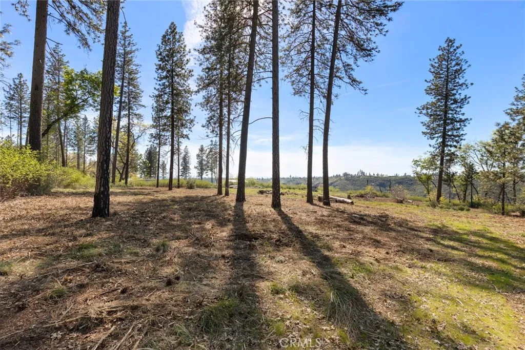 2922 Lost Ridge Oroville, CA 95965 - Photo 4 of 21 a view of outdoor space with lots of trees