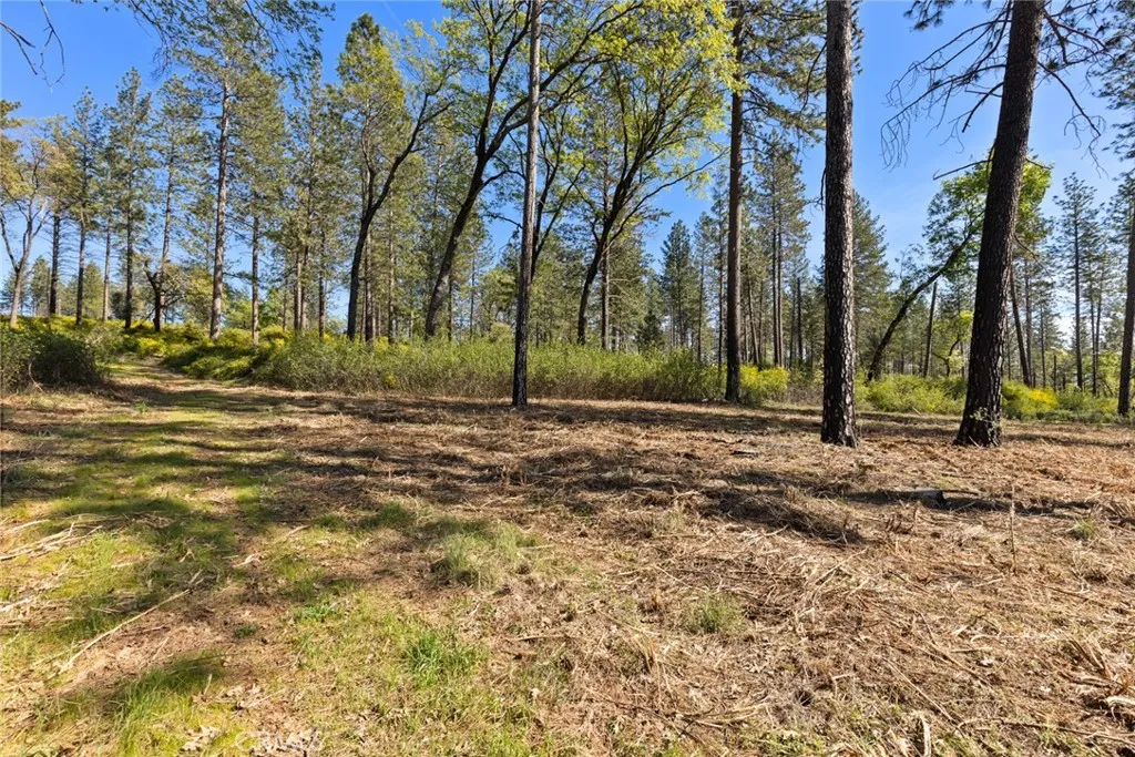 2922 Lost Ridge Oroville, CA 95965 - Photo 5 of 21 a view of outdoor space with deck and tree