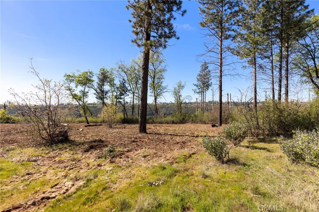 2922 Lost Ridge Oroville, CA 95965 - Photo 6 of 21 a view of a yard on a road