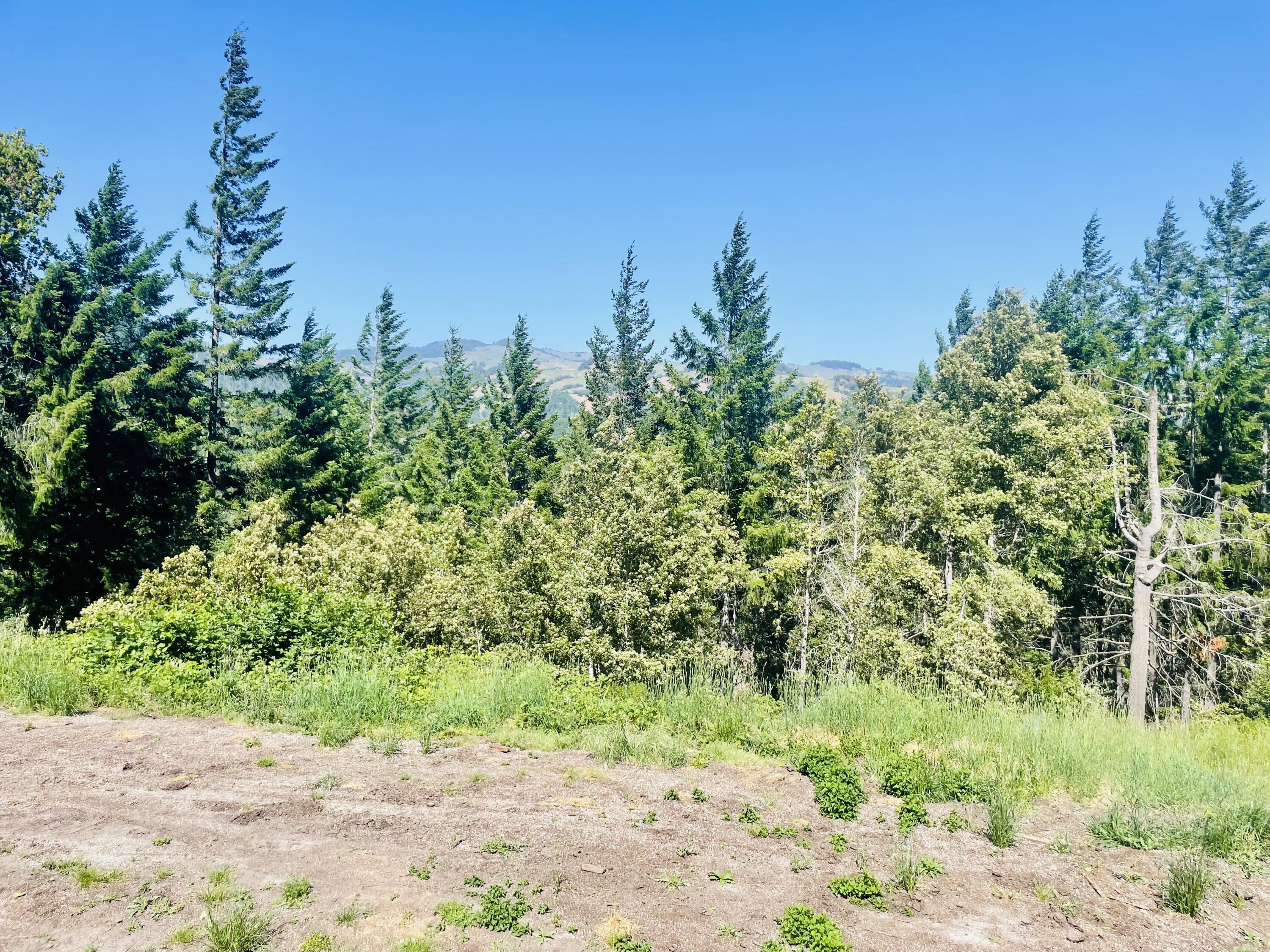 360 Graycliff Road Garberville, CA 95542 - Photo 50 of 63