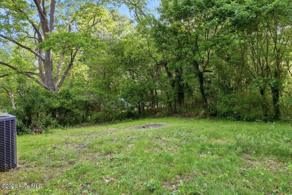 511 South Pine Street Spring Hope, NC 27882 - Photo 29 of 32 05-511 S Pine St-5