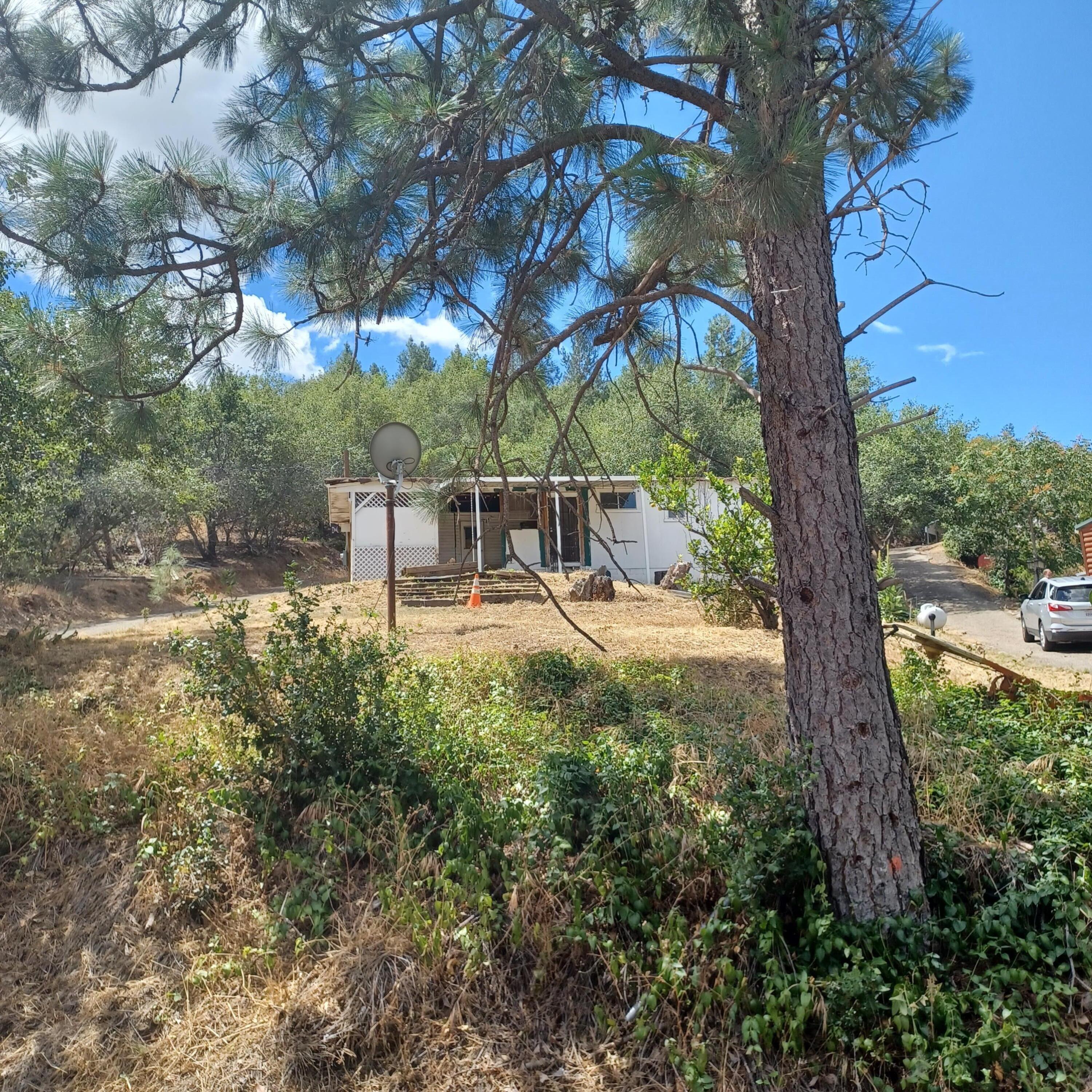 22161 Ravine Court Redding, CA 96003 - Photo 4 of 19 20220618_114221