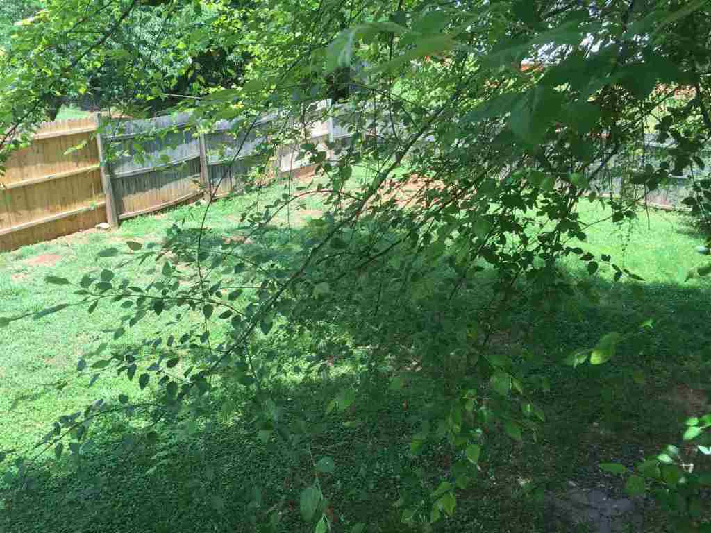 213 Maple Drive Anderson, SC 29621 - Photo 22 of 25