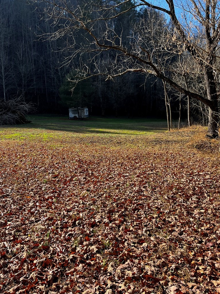 23 Valentine Branch Road Sevierville, TN 37876 - Photo 4 of 18 Gallery Image 4