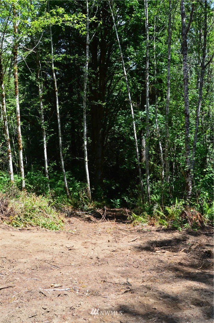 0 Southwest J H Road Port Orchard, WA 98367 - Photo 9 of 11 Gallery Image 9