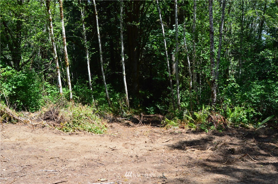 0 Southwest J H Road Port Orchard, WA 98367 - Photo 10 of 11 Gallery Image 10