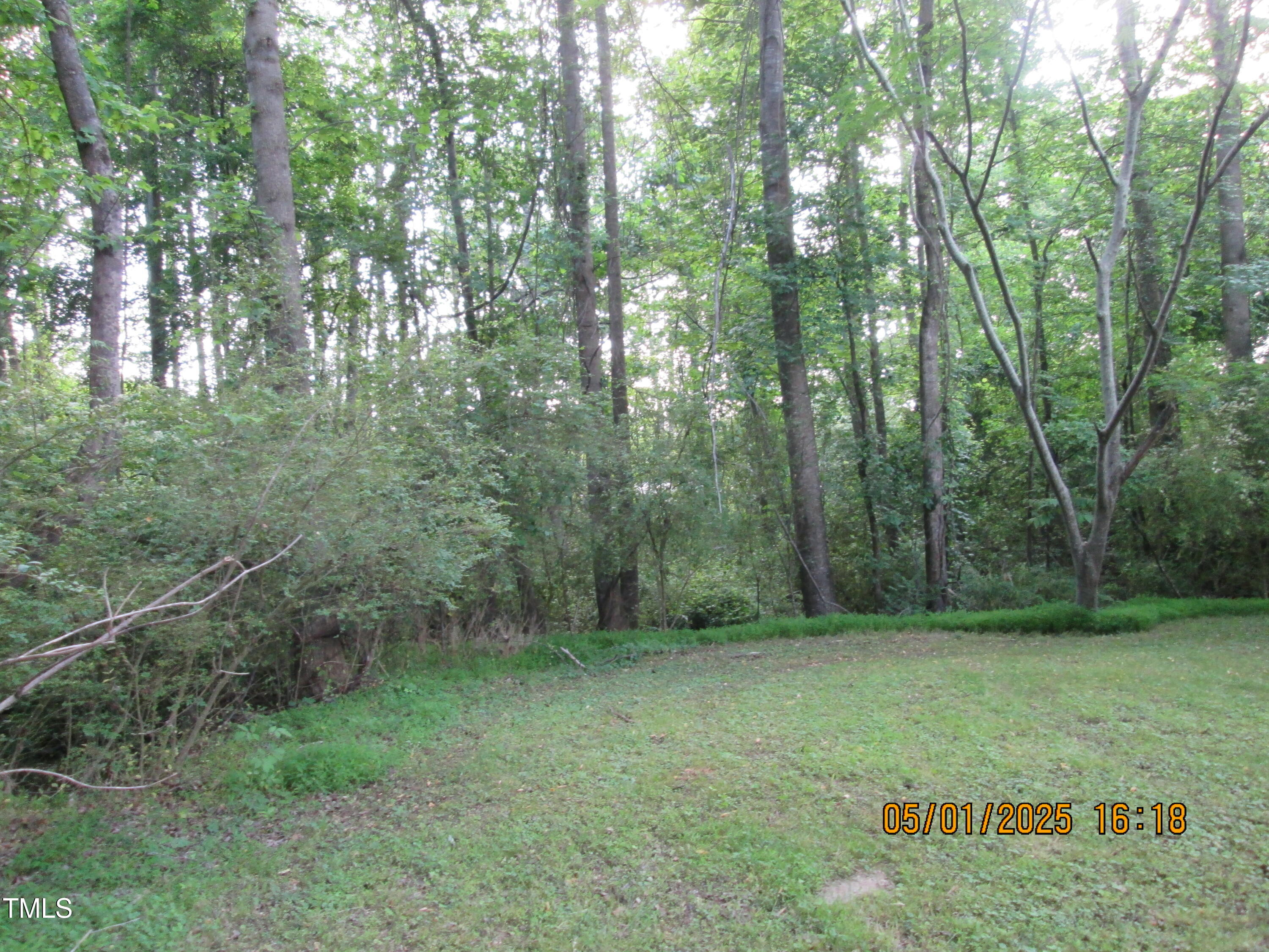 169 Mt Pleasant Road Willow Spring, NC 27592 - Photo 30 of 32 Backyard