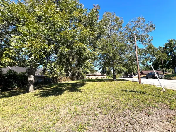 a view of a yard with trees