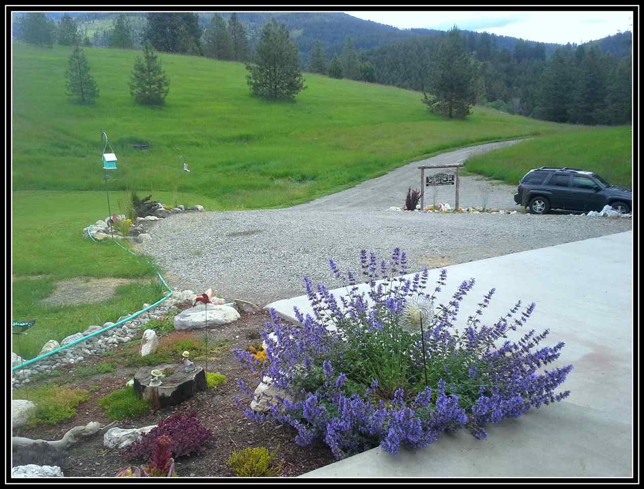 567 Prouty Corner Loop Road Colville, WA 99114 - Photo 2 of 17