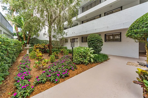 a view of a garden with flowers and flowers