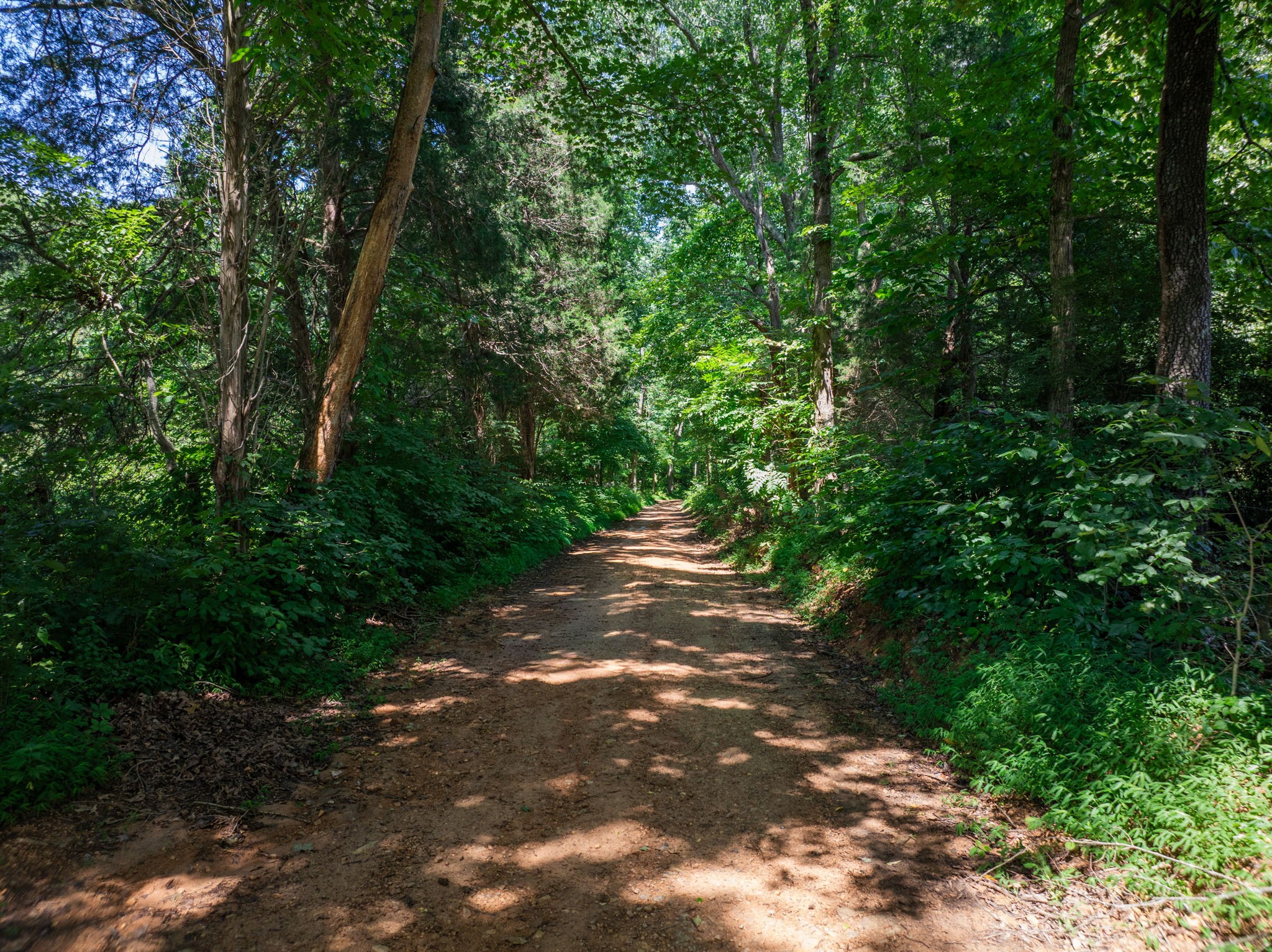 0 Barren Fork Bridge Road Bon Aqua, TN 37025 - Photo 14 of 28