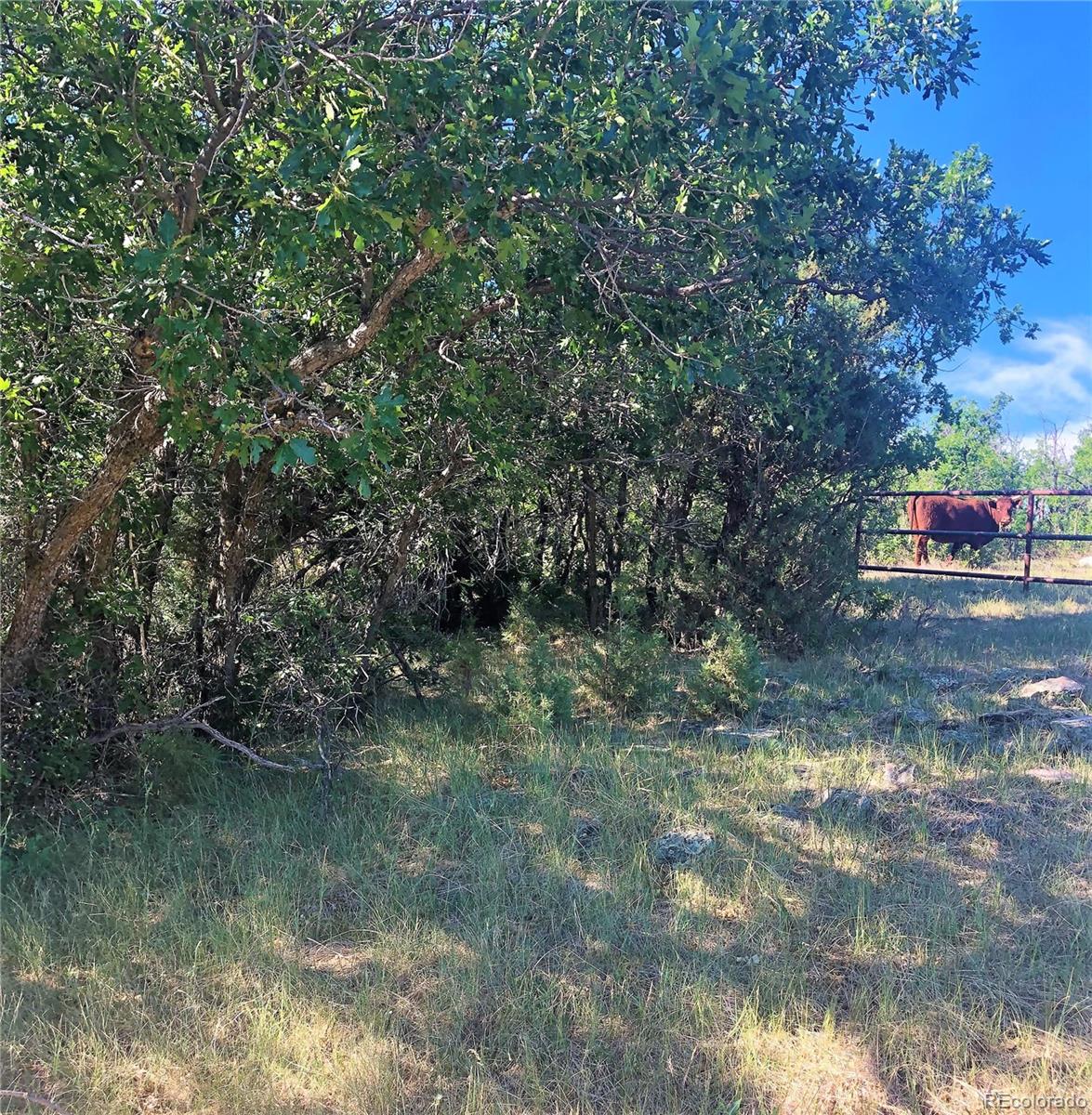 Columbine Road Beulah, CO 81023 - Photo 1 of 10 Gallery Image 1