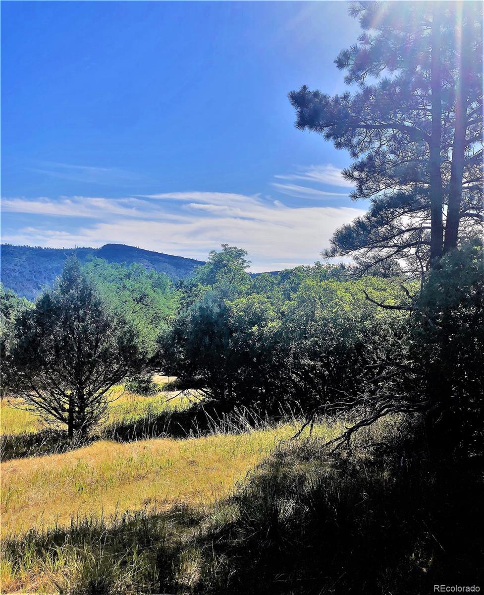 Columbine Road Beulah, CO 81023 - Photo 4 of 10 Gallery Image 4
