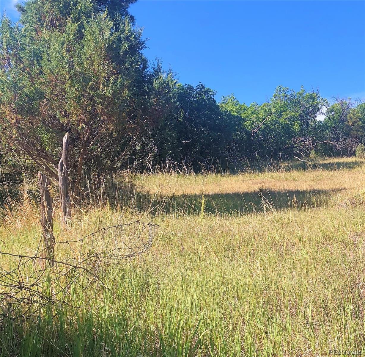 Columbine Road Beulah, CO 81023 - Photo 5 of 10 Gallery Image 5