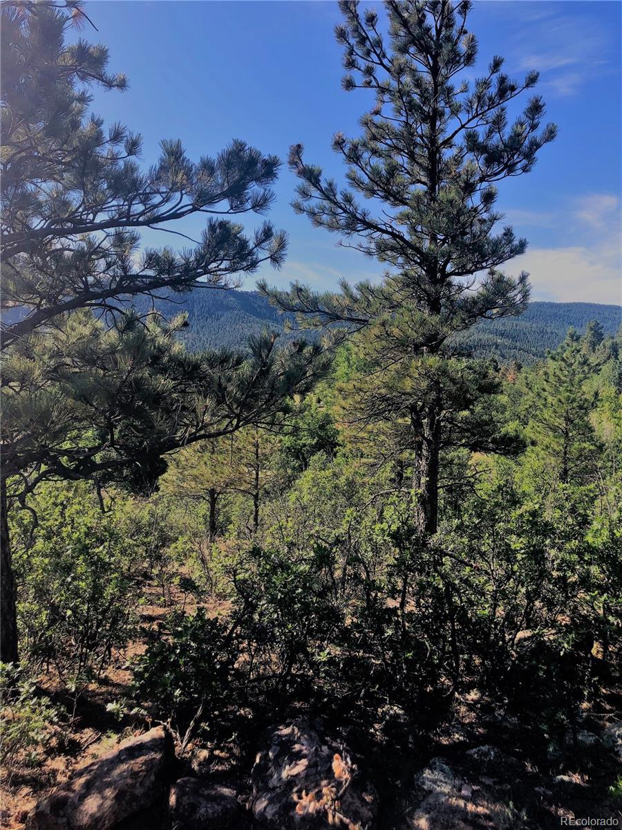 Columbine Road Beulah, CO 81023 - Photo 6 of 10 Gallery Image 6