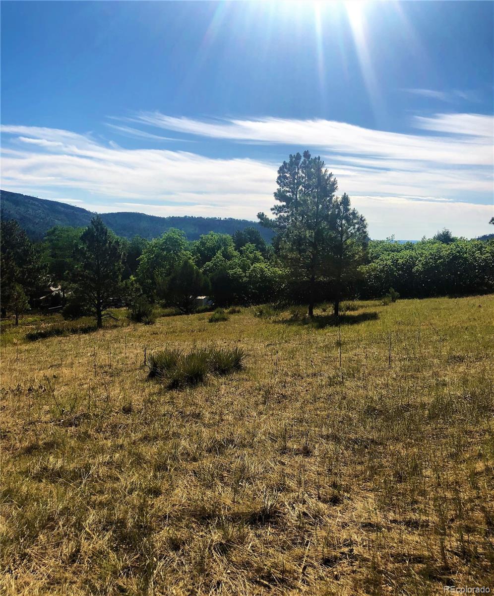 Columbine Road Beulah, CO 81023 - Photo 10 of 10 Gallery Image 10