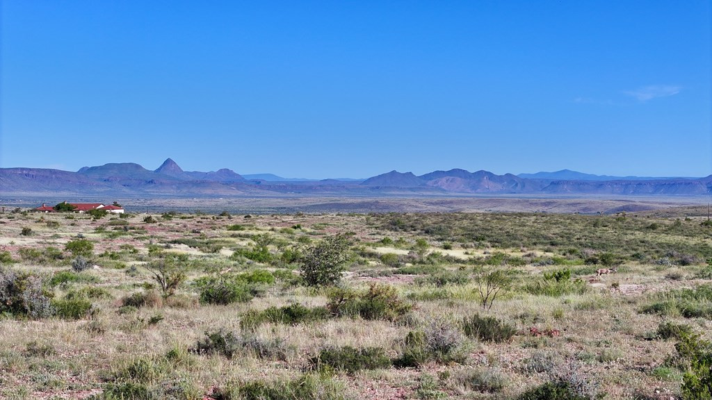 9 Sierra La Rana Alpine, TX 79830 - Photo 6 of 15 Photo 6
