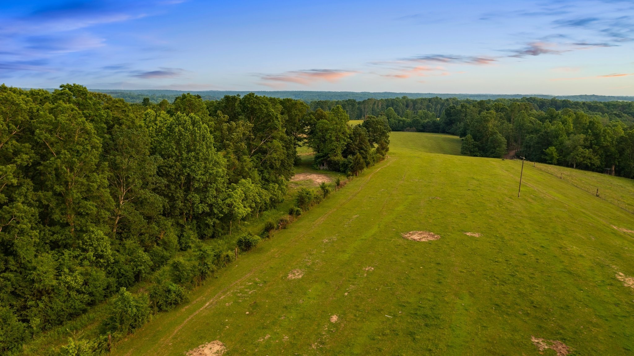 0 Oscar Green Road Primm Springs, TN 38476 - Photo 18 of 21 Gallery Image 18