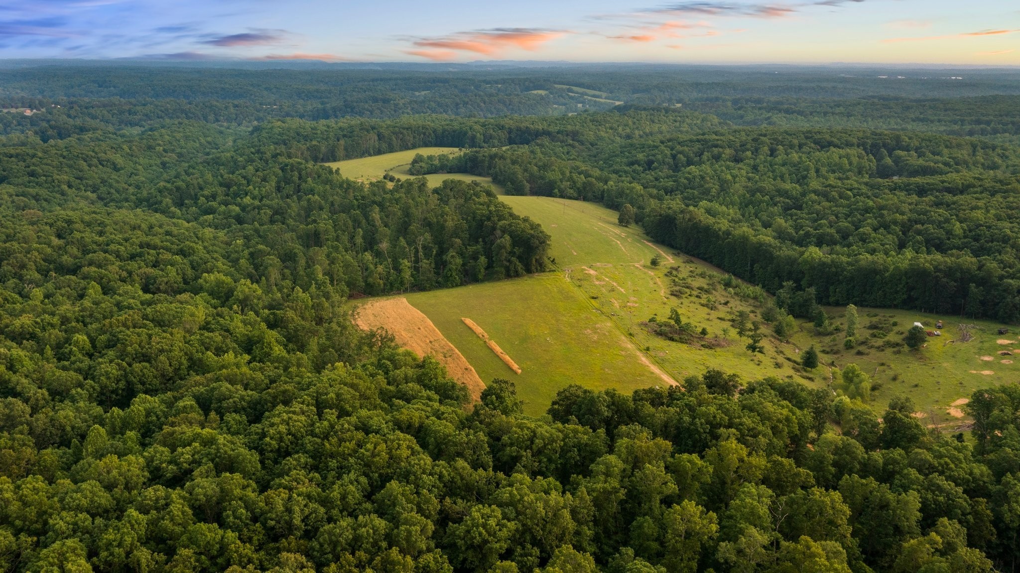 0 Oscar Green Road Primm Springs, TN 38476 - Photo 4 of 21 Gallery Image 4