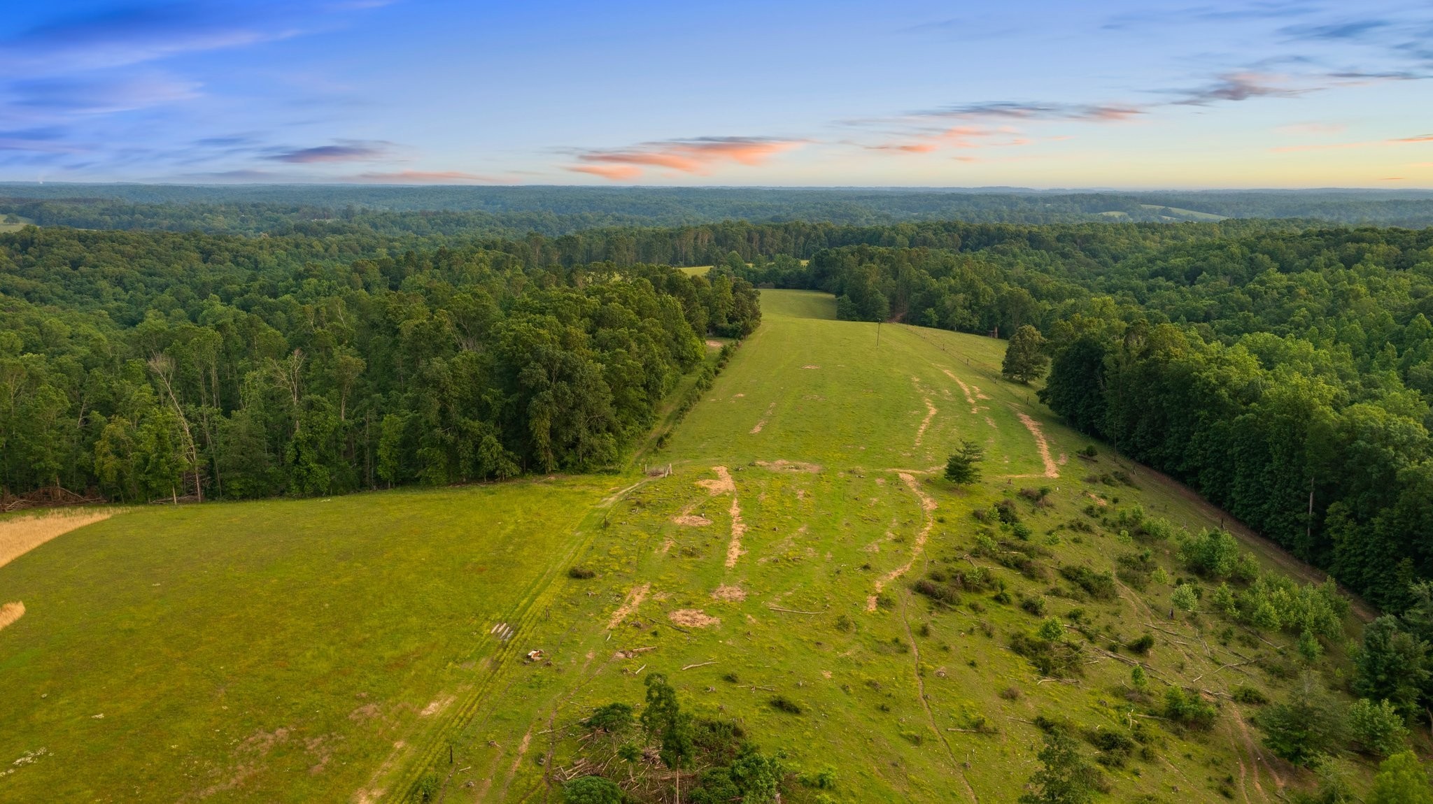 0 Oscar Green Road Primm Springs, TN 38476 - Photo 6 of 21 Gallery Image 6